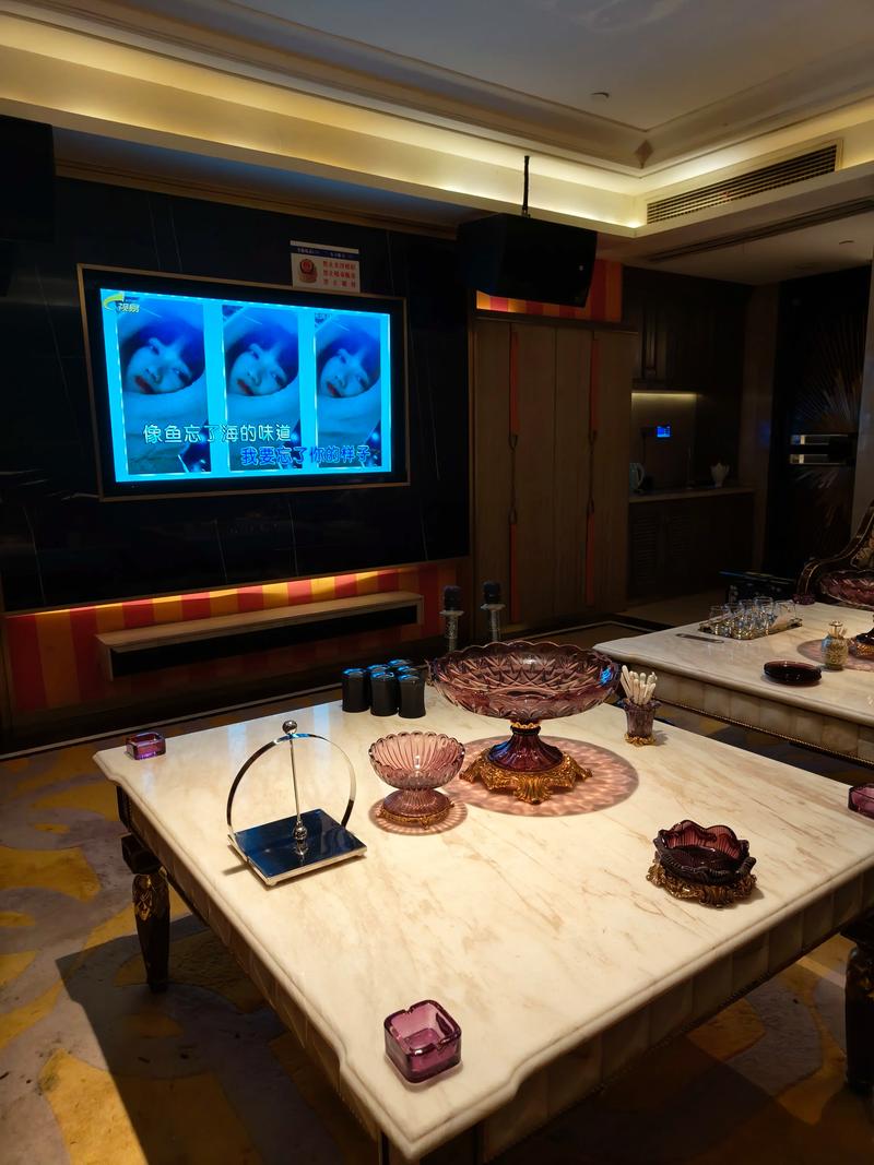 邢台商务ktv潮流新体验-清河县ktv预定